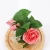 Import Birthday Party Gift Handmade Rainbow Rose Flower Paper Crafts Give Your Best Friend from China