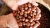 Import Blanched Hazelnuts / Hazelnuts in shell / Best Quality Hazelnuts from Brazil