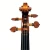 Import Brand advanced five string violin from china for hot sale from China
