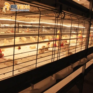 Broiler Animal Husbandry Poultry Equipment H Type Meat Broiler Chicken Cage for Sale