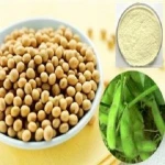 bulk dried soybean (New crop 2018)
