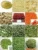 Bulk organic mixed dehydrated vegetables of the lowest price