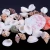 Import Bulk Price for Sea Shell,Colorful seashells from China