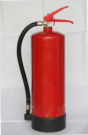 Car use with CE, Approved Dry Powder, Co2, Foam,  1kg/ Fire Extinguisher