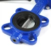 CE certificate OEM Customized DN80 Manual Butterfly Valve with Handwheel