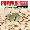 cheap hulled snow white pumpkin seed kernels wholesale