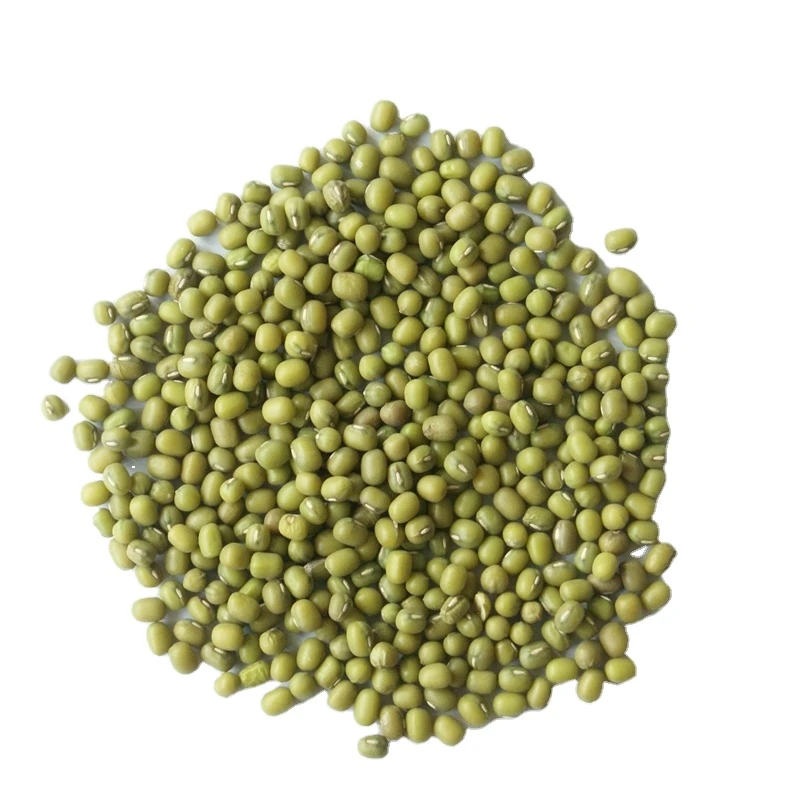 Cheap price dry green mung beans for cooking
