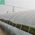 Import Cheap Price Plastic Agriculture High Tunnel Green House from China