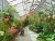 Import China aluminium glasshouse/ greenhouse/garden house with the best price from China