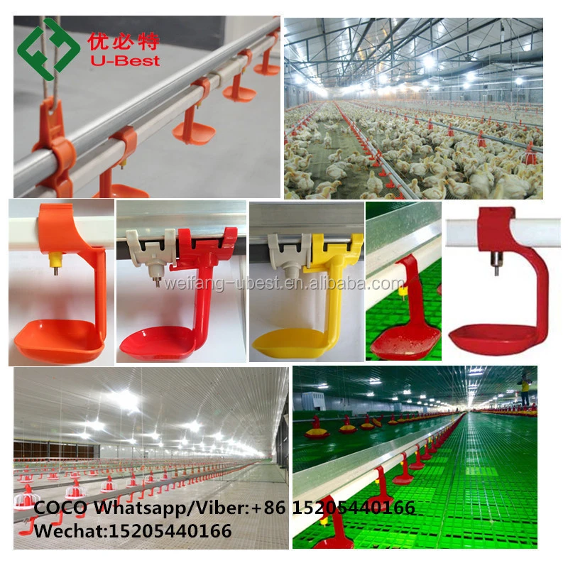 China Factory Supply Automatic Poultry Farm Equipment for Chicken Buildings Philippines