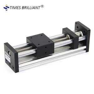 China low price 100mm travel length TR8 lead 8MM T- screw linear guide rail for cnc cutting drilling tapping printing