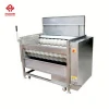 China Manufacturer 1000-1500kg/h nylon roller root vegetable washer In South America