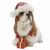 Import China manufacturer xmas table decoration dog christmas ornament polyresin dog statues from China