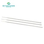 China OEM Stainless Steel Willow Leaf Rod for Medical Electric Instrument