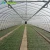 Import China supplier cheap price tunnel greenhouse plastic poly film greenhouse from China