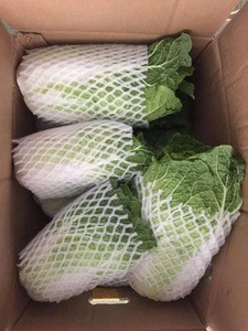 Chinese cabbage from China