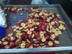 Chinese delicious fruits clean iqf frozen plum