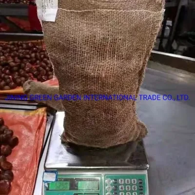 Chinese Fresh Chestnut with Wholesale Price, Chinese Wholesale Fresh Sweet Chestnut, New Crop Chestnut of Hight Quality
