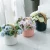 Import Chinese Modern porcelain home hotel goods decoration flower vase decorative ceramic vase with wood handle from China