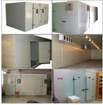 Cold room for frozen seafood