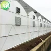 Commercial low cost single span dome film greenhouse