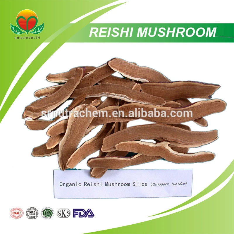 Competitive Price Reishi Mushroom