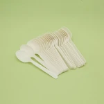 compostable spoon disposable cutlery eco-friendly pla spoon
