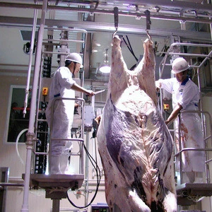 Cow Slaughterhouse Equipment for Meat Processing
