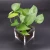 Import Custom eco friendly mini desk acrylic plastic square transparent flower pot from China