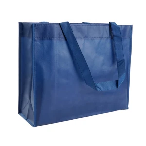 Custom Promotional New Design Eco Reusable PP Non Woven Bag