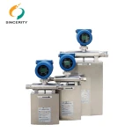 DMF-Series Mass Gas Counter Meter