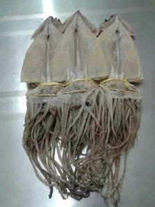dried whole argentina illex squid for sale