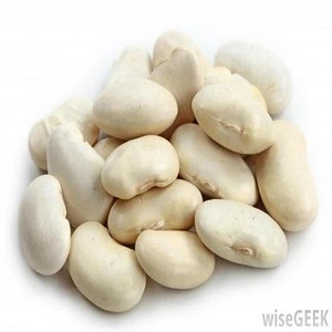 Dry Lima Beans / Fresh Lima Bean/ Large White Lima Bean