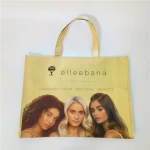 Durable Printing Logo Nonwoven Shopping Tote Carry Bag