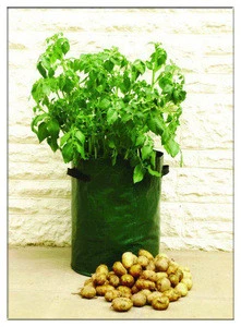 Easy Carrying PE Garden Potato Grow Bag