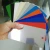 Import Electrical epoxy color dry ceramic powder paint from China