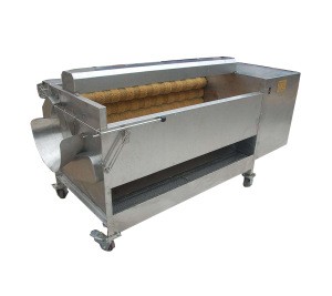 Energy-saving Hair Roller Cleaning Machine For Fruit And Vegetable Products
