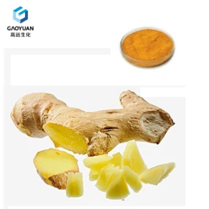 Factory direct free sample ginger powder extract dried bulk