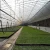 Import Factory Direct Sale Home Glasshouse Photovoltaic Solar Glass Greenhouse from China