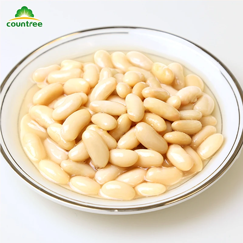 Factory Direct Sale Supply Steamed Tin Canned White Kidney Beans in Brine