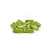Import Factory OEM 500mg Veggie Moringa Oleifera Capsules Moringa Capsules from China