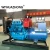 Factory price 3 phase water cooled 24kw 30kva free electricity permanent magnet generator