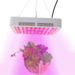 Factory wholesale full spectrum bloom veg high PAR value 300W led grow light