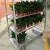 Factory Wholesale Garden Greenhouse Transport Decorative Display Auction Pot Flower Vendor Cart For Sale