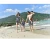 Import Family Matching Swimwear Outfits Look Mother Daughter Bikini Swimsuits Father Son Swim Shorts  Beachwear from China