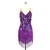 Import Fashion women stage performance professional dance wear chacha Jazz salsa fringe tango spaghetti strap glitter Latin dance dress from China