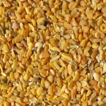 Fine Quality Guar Korma Meal For Animal Feed For Sale