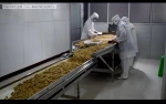 Food quality China factory supply Food Organic Peeled Roasted Chestnuts