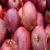 Import Fresh Apple Top Fresh red fuji apple fruit  and  other Red Delicious apples for sale from Philippines