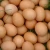 Import Fresh Chicken Table Eggs from South Africa